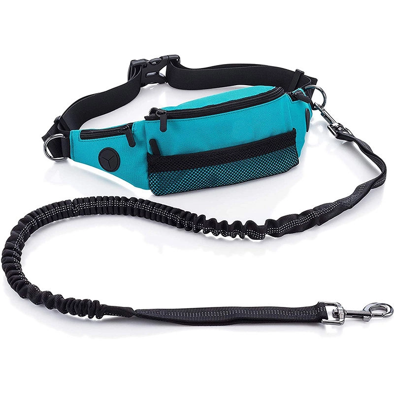 스포츠 엉덩이 부랑자 허리 가방