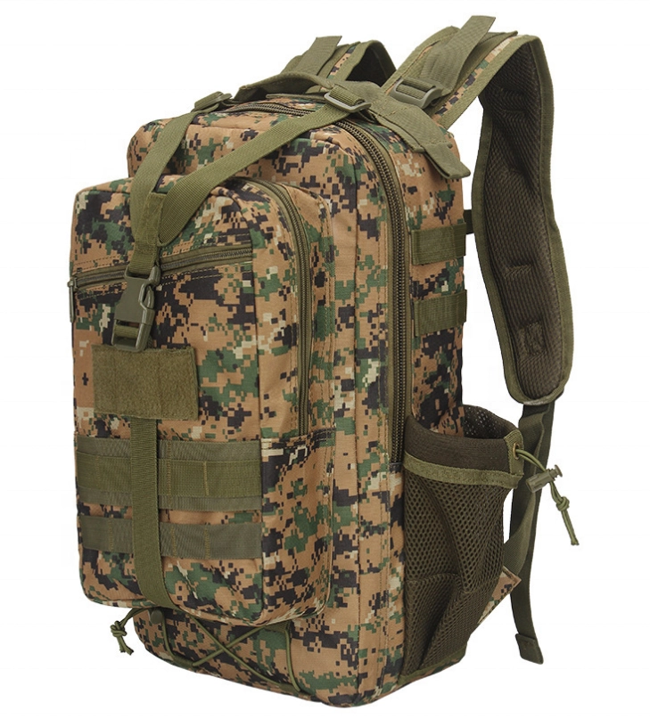 야외 하이킹 학교 데이팩 