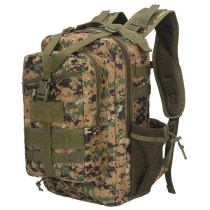 야외 하이킹 학교 데이팩 